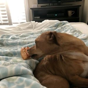 Meet your Posher, Revae